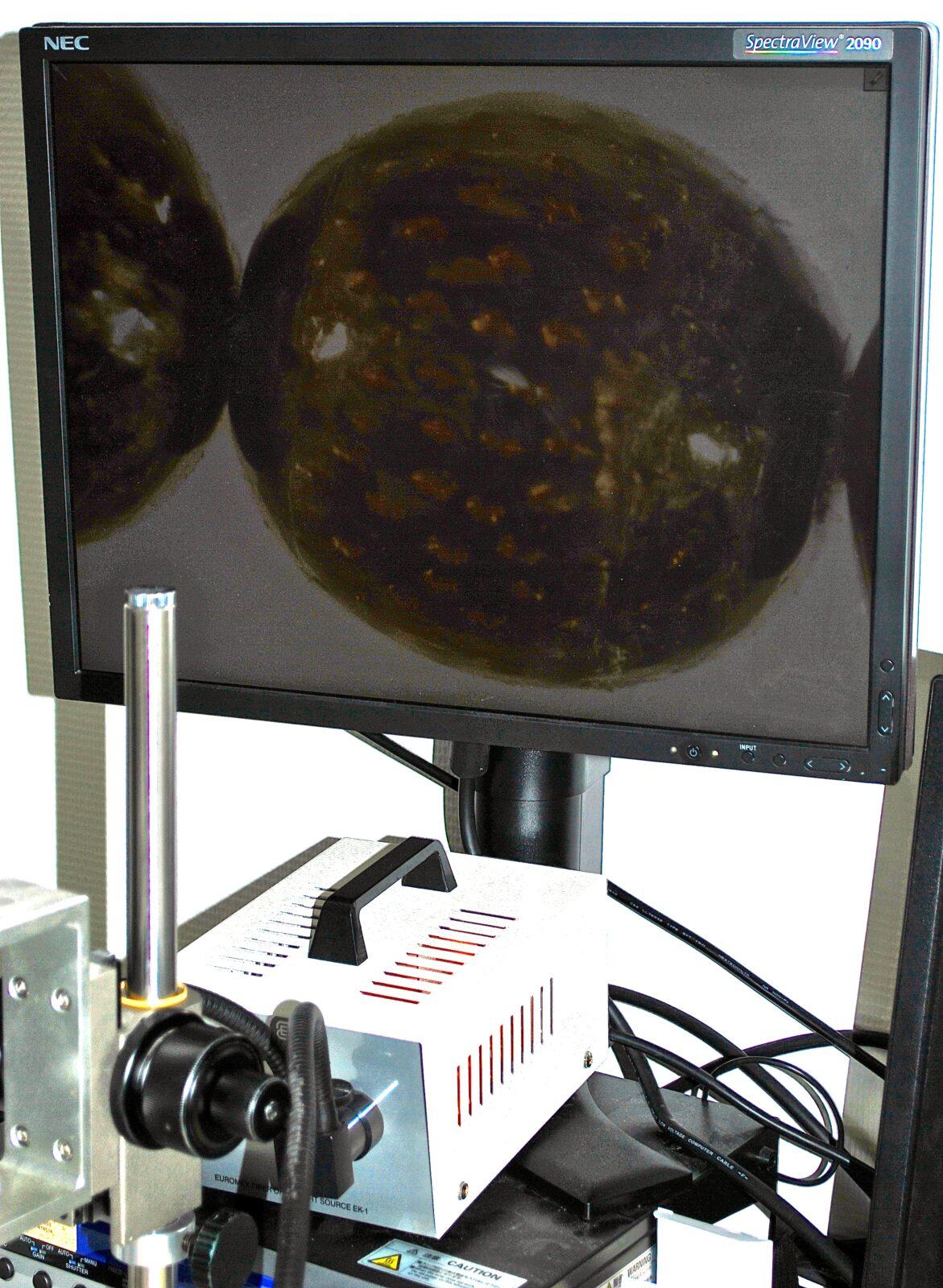 La matière révélée