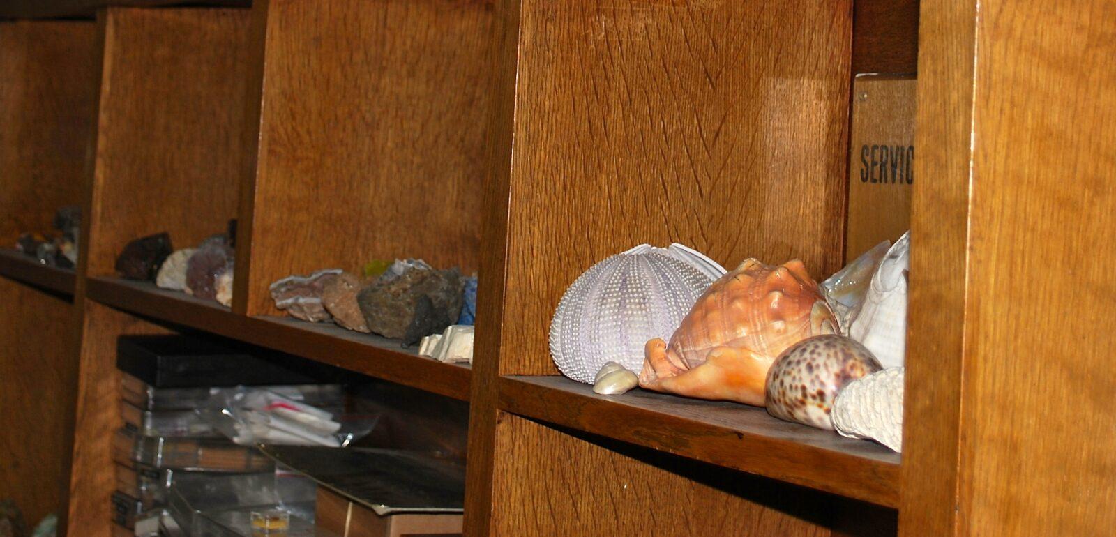 Archives Échantillons de Minéraux