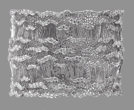 BUCCELLATI ET IMPRESSIONISTE