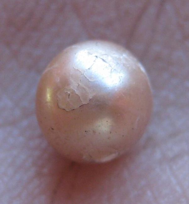 Perle Antique provenant de fouilles archéologiques en Australie. Crédit University of Wollogong