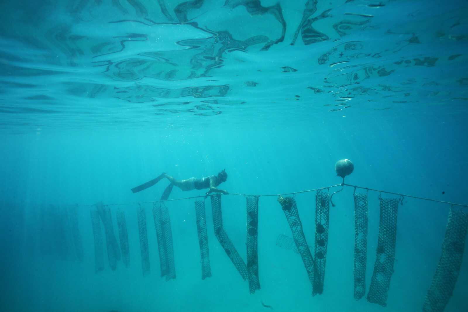 Ferme perlière ⒸGIE TAHITI TOURISME