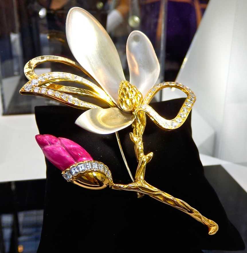 Duncan-Laurie Haye Crédit Jacky Kargayan