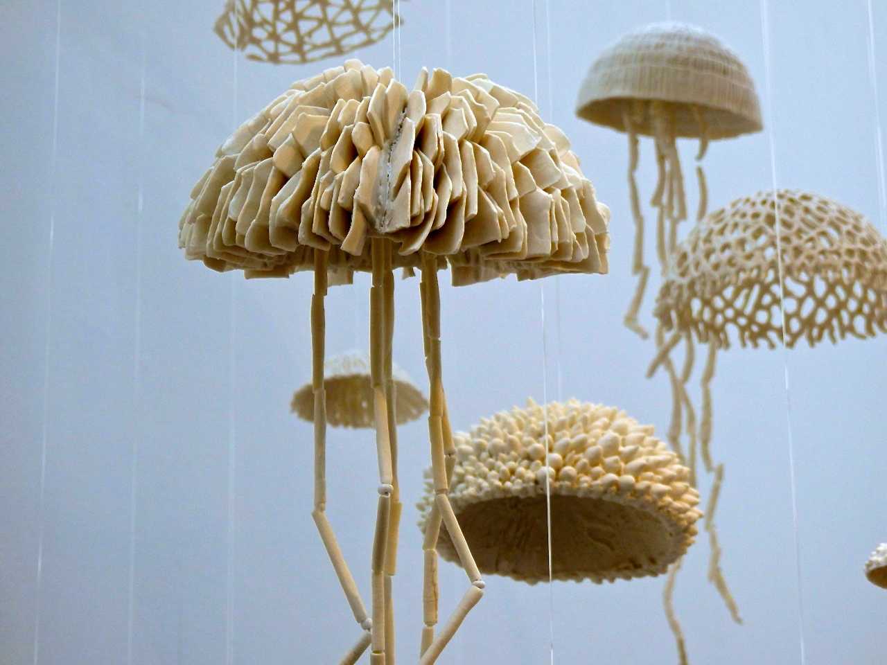 Crédit Jacky Kargayan