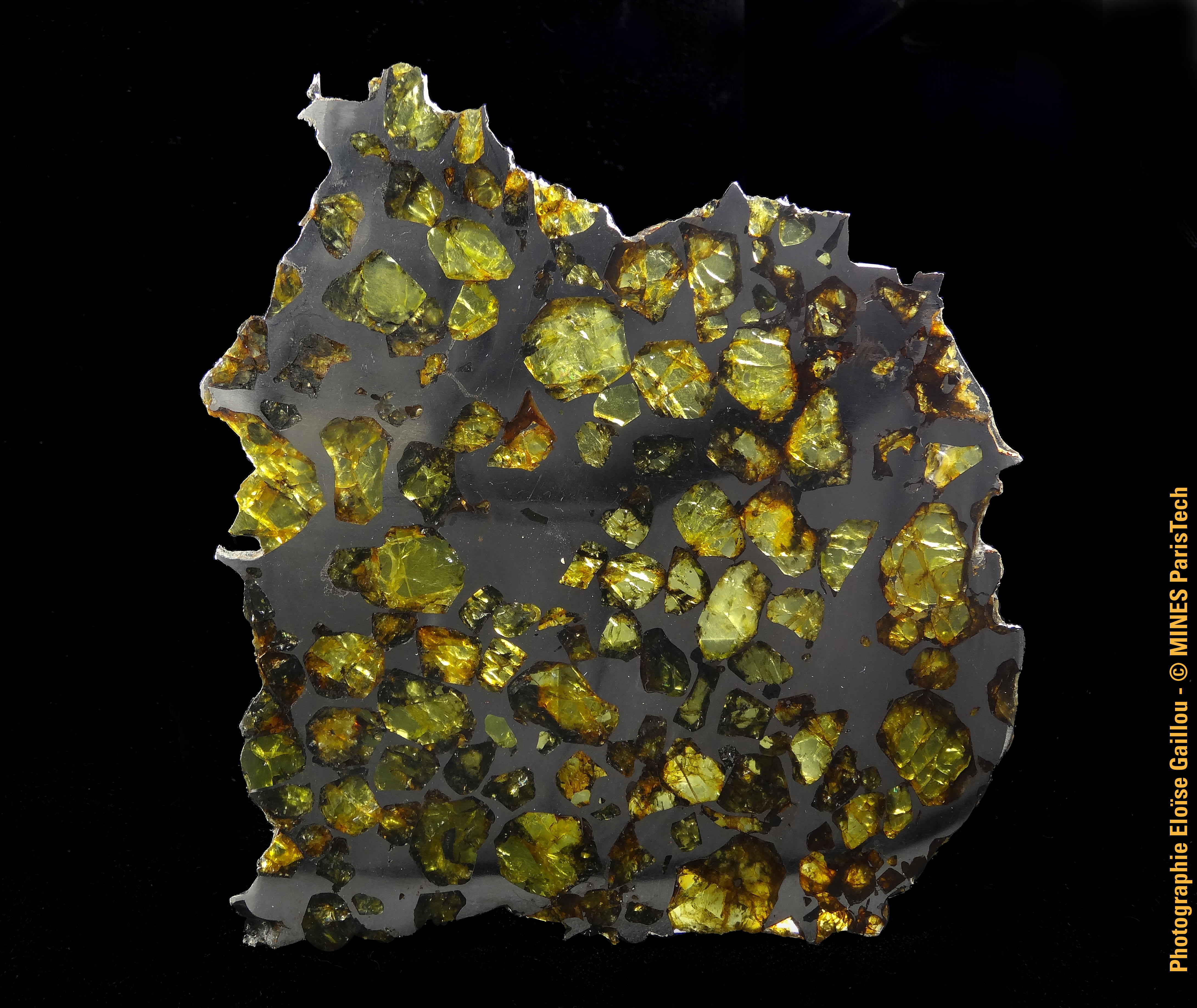 © Eloïse Gaillou / Mines ParisTech Météorite Pallasite d'Esquel Olivines, Fer-Nickel